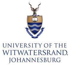 Wits Logo