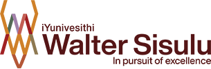 iWS logo